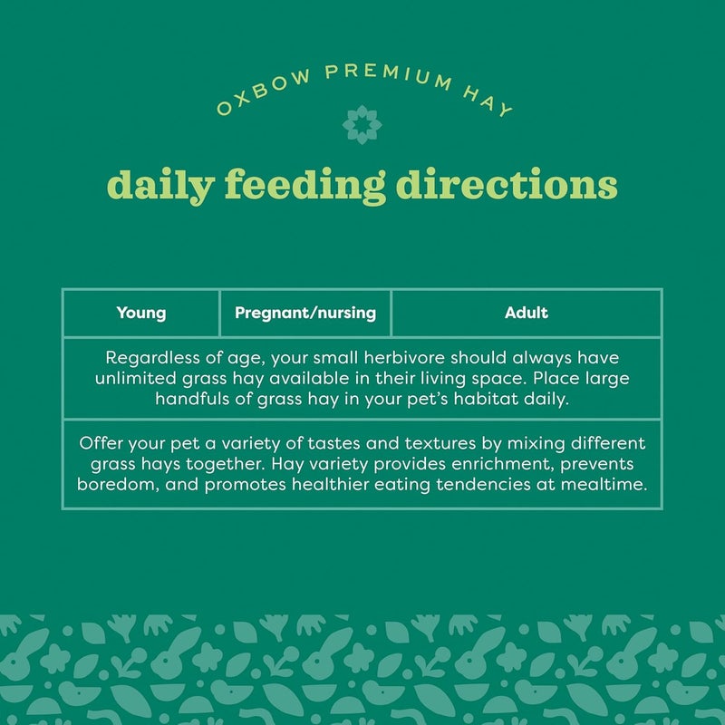 Oxbow Alfalfa Hay for Small Pets, 15-Ounce - Image 4